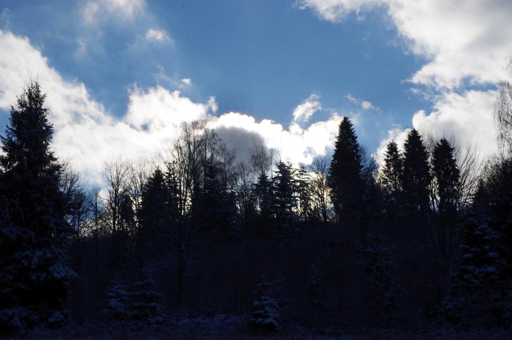 Magiczne Bieszczady - Smerek 86 Hotel ชิสนา ภายนอก รูปภาพ
